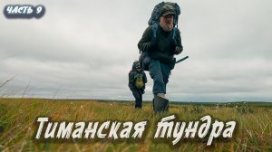 Тиманская тундра | Северный Тиман 2025