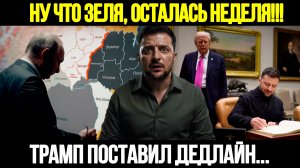 🔴СРОЧНО! Обращение Зеленского И Заявления Путина: Начало Нового Этапа Конфликта