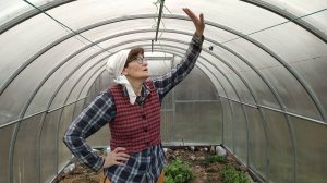 Деревенская жизнь под крышей (дома и теплицы). Ноябрь 2025