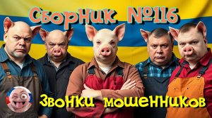 Сборник №116