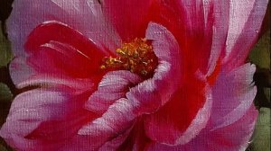 Пион  .Живопись маслом