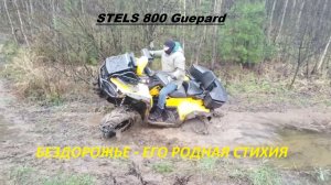 STELS 800 Guepard Бездорожье-его стихия