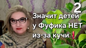 Значит ДЕТЕЙ у Фуфика НЕТ из-за кучи💯❗️
