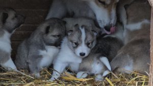 Кто есть кто