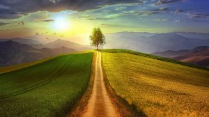 Кармический долг (сегодня и прошлая жизнь).....онлайн расклад.....