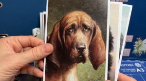 Открытки с Озона для посткроссинга. Ноябрь 2025