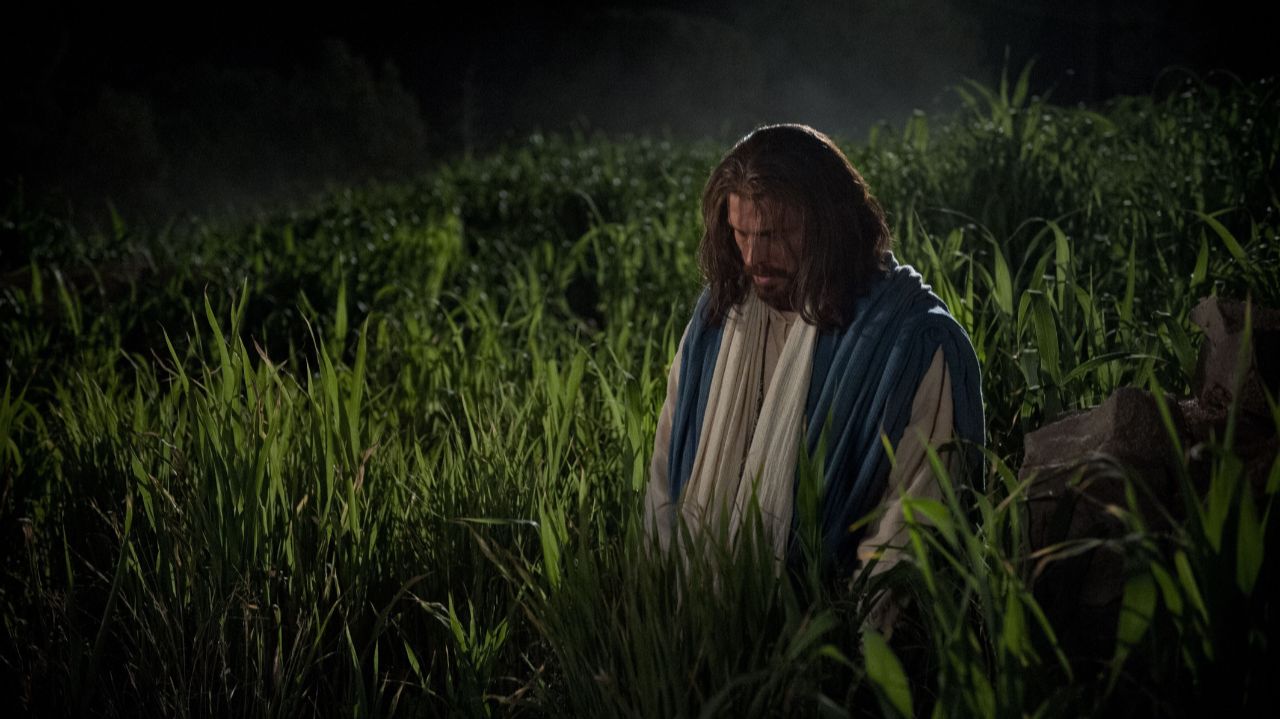 Молитва Иисуса в Гефсиманском саду/Моление о чаше в Гефсиманском саду/Предательство Иуды/Библия смотреть онлайн