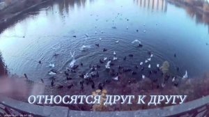 УЮТНО И КОМФОРТНО