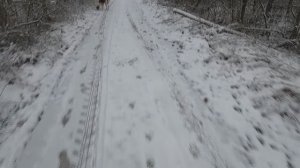 Охота с Добычем 21.11.2025.