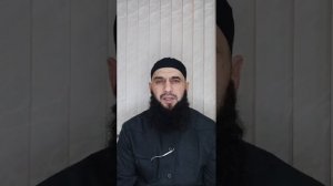 Эфир от 4.11.2020. Шейх Шамиль аш-Шафи'ий.