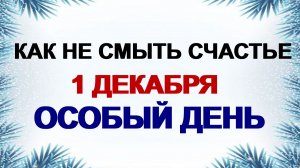 1 декабря. День Платона и Романа Зимоуказателей: Что категорически нельзя делать.