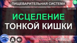 Восстановление Тонкой Кишки Мощное Пищеварение  Здоровье ДПК, Тощей Кишки и Подвздошной Кишки