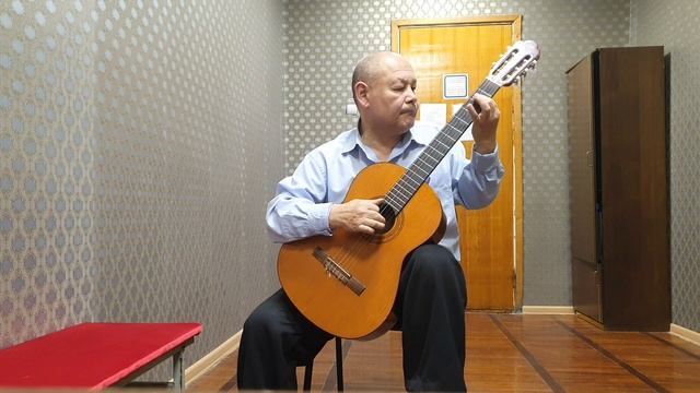 J.Lennon Do You Want to Know a Secret Guitar Cover