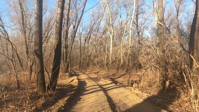 Осенняя прогулка.😊