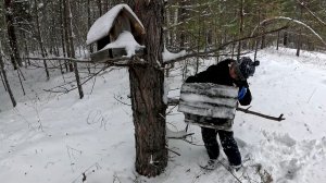 Остаёмся зимовать