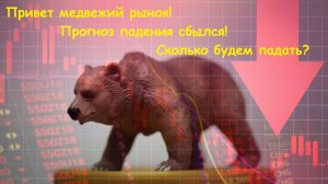 Прогноз сбылся, добро пожаловать на медвежий рынок!