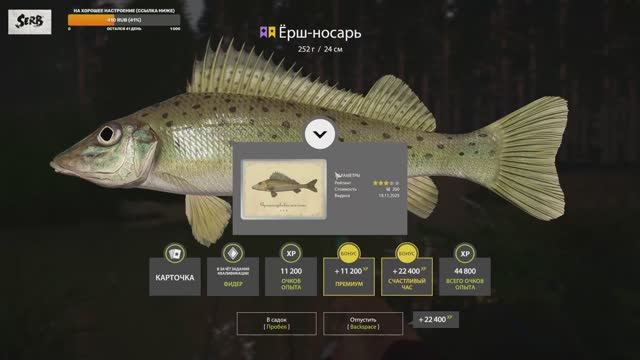 ПОЙМАЛ ТРОФЕЙНОГО ЕРША-НОСАРЯ.КВЕСТ ЗАВЕРШЕН.