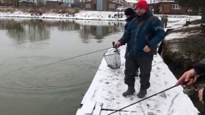 поимка форели на спиннинг