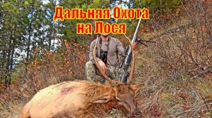 Дальняя Охота на Лося