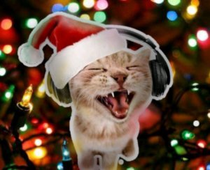 заходите пжжж