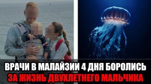 Медуза убила ребёнка за минуты: подробности трагедии с российской семьёй на отдыхе в Малайзии