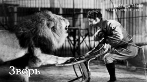 Надежда Тэффи "Зверь"