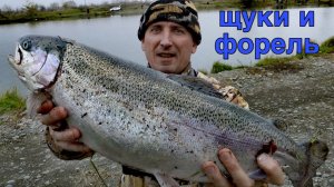 Ловля щук и форели на МИКРОВОБЛЕРЫ #щука #форель #рыбалка #спиннинг #воблер