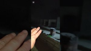 Кангал Маша сильно исхудала на передержке, вольеры ночью