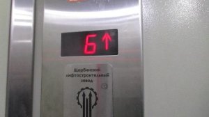 Лифт ЩЛЗ под. №14 @ ТСЖ «Пролетарец» (2579)