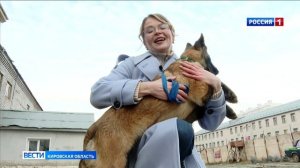 На службу в кинологическое подразделение кировского УФСИН заступят 4 бельгийские овчарки