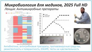 Антимикробные препараты