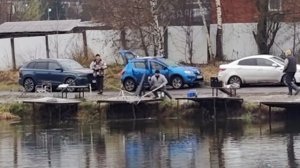 Светлые Горы Форель8 22.11.2025г.