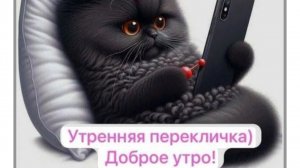 Утренняя болталка//завтрак