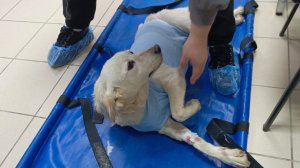 Эмили перенесла операцию