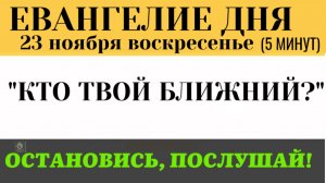 23 ноября Евангелие дня Почему священник бросил умирающего Тайна притчи о Самарянине (Лк 10 25-37)