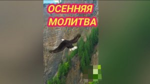 22/11 25 Мои стихи: ОСЕННЯЯ МОЛИТВА. Автор ЕЛЕНА СКРЯБИНА.  АВТОРСКИЕ ПРАВА ЗАЩИЩЕНЫ