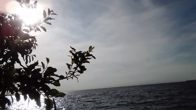 Берег Финского залива в Июле вечером. смотреть онлайн