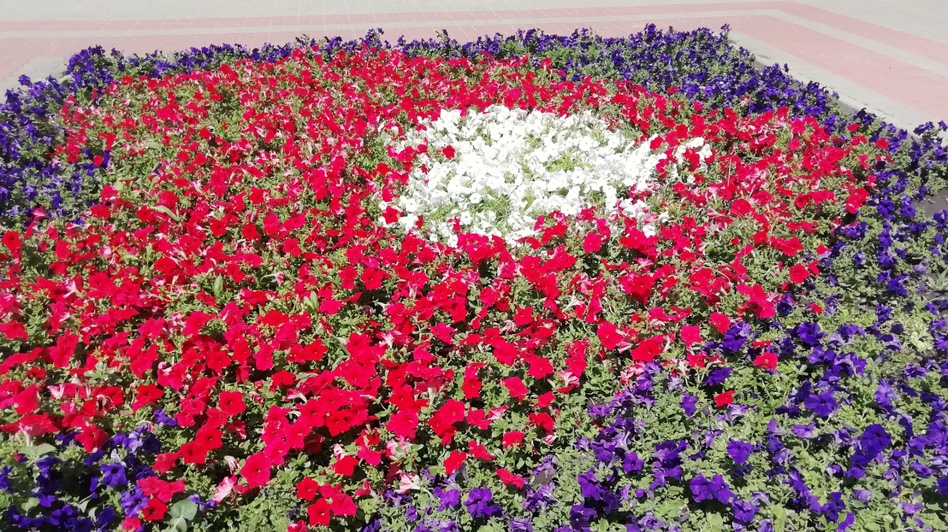 Просто цветочки смотреть онлайн