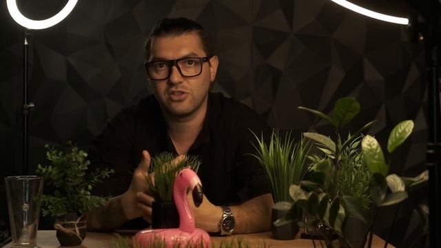 Реальные сроки строительства дома смотреть онлайн