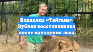 Владелец «Тайгана» Зубков восстановился после нападения льва