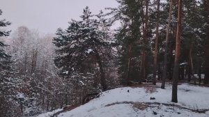 Стоит ли принимать участие в споре? Так ли важно доказать свою правоту?