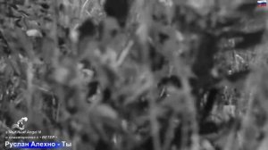 Руслан Алехно - Ты - s’NеЖNыЙ Angel N в соавторстве с • ВЕТЕР •