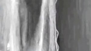 Царевна-Несмеяна. Ансамбль Надежда.