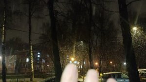 вот он магический снежный ❄️ вечер - в ночь на 23 ноября снег ❄️  до утра...