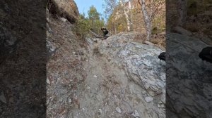 До Караульного быка ноябрь 2025.