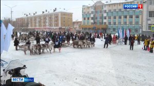 В Заполярье состоится "Праздник Севера: гонки на оленьих упряжках"