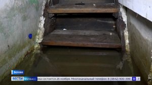 Дожидаясь помощи, запустила рыбу в подвале: резонанс вызвала история с разведением карпов в Белове