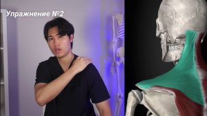 Увеличение кровоснабжения мозга: путь к ясному мышлению