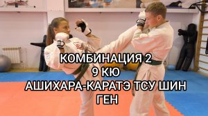 Комбинация 2, 9 кю Ашихара-каратэ