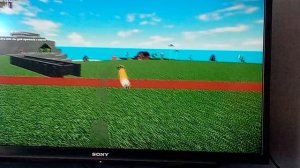 смешные моменты